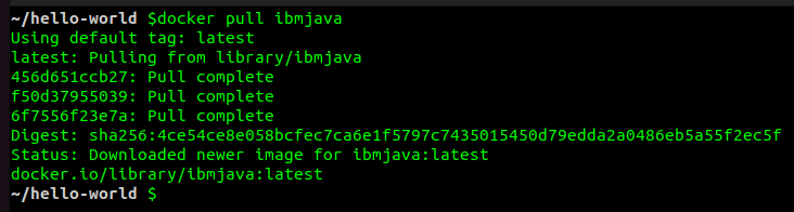 run_hello world