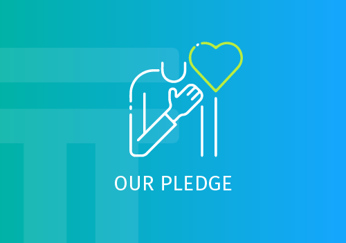 pledge